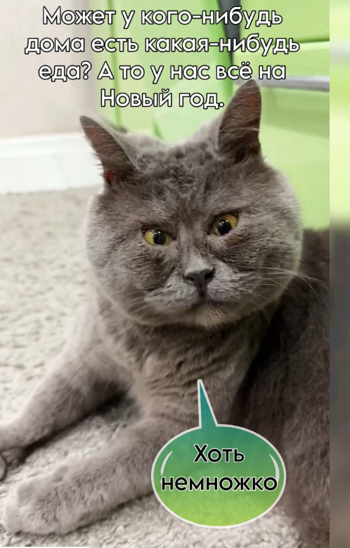 Помогите!Алярм!