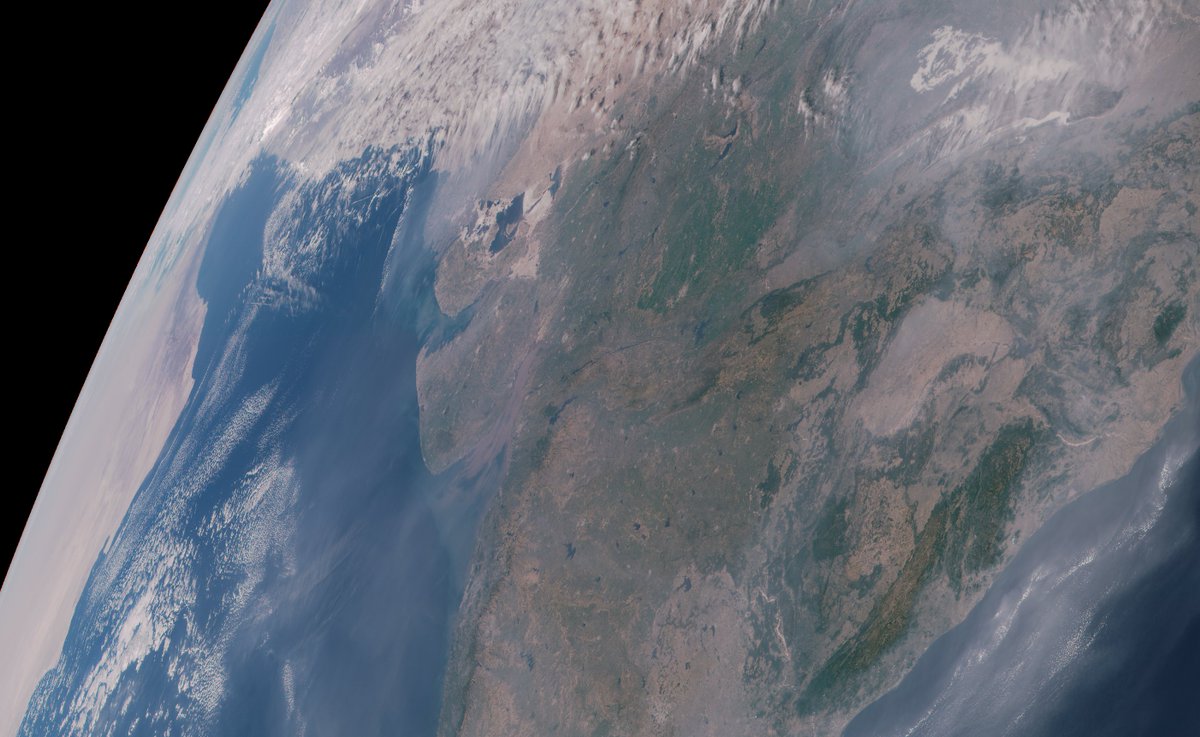 John Bell tweet media