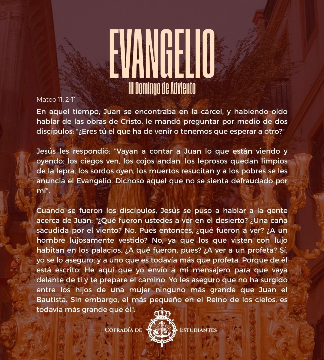 EVANGELIO|

Mateo 11, 2-11: “Dichoso aquel que no se sienta defraudado por mí"

#MareaVerde #Evangelio