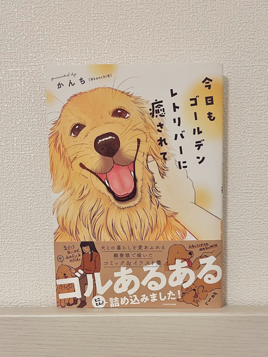 かんち（8kanchi8）@書籍『今日もゴールデンレトリバーに癒されて