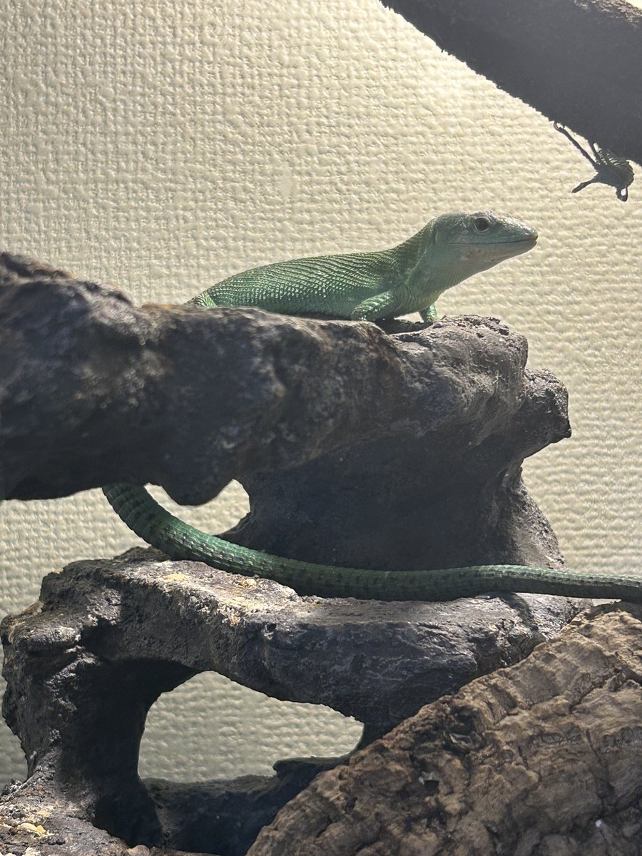 えのきページ えのきレシピ | 加藤えのき