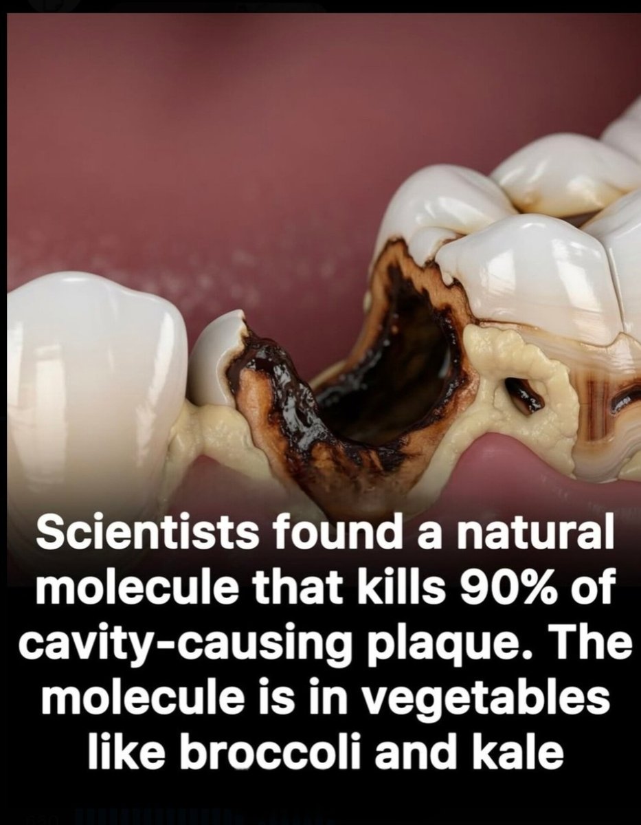 The World R🅰️nking tweet media