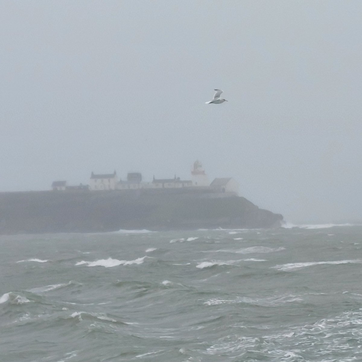 Damien McCallig tweet media