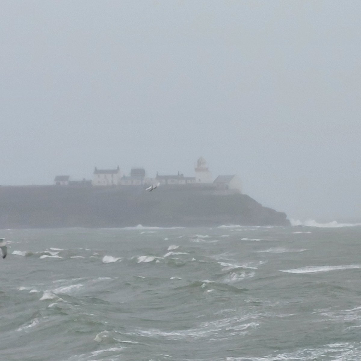 Damien McCallig tweet media