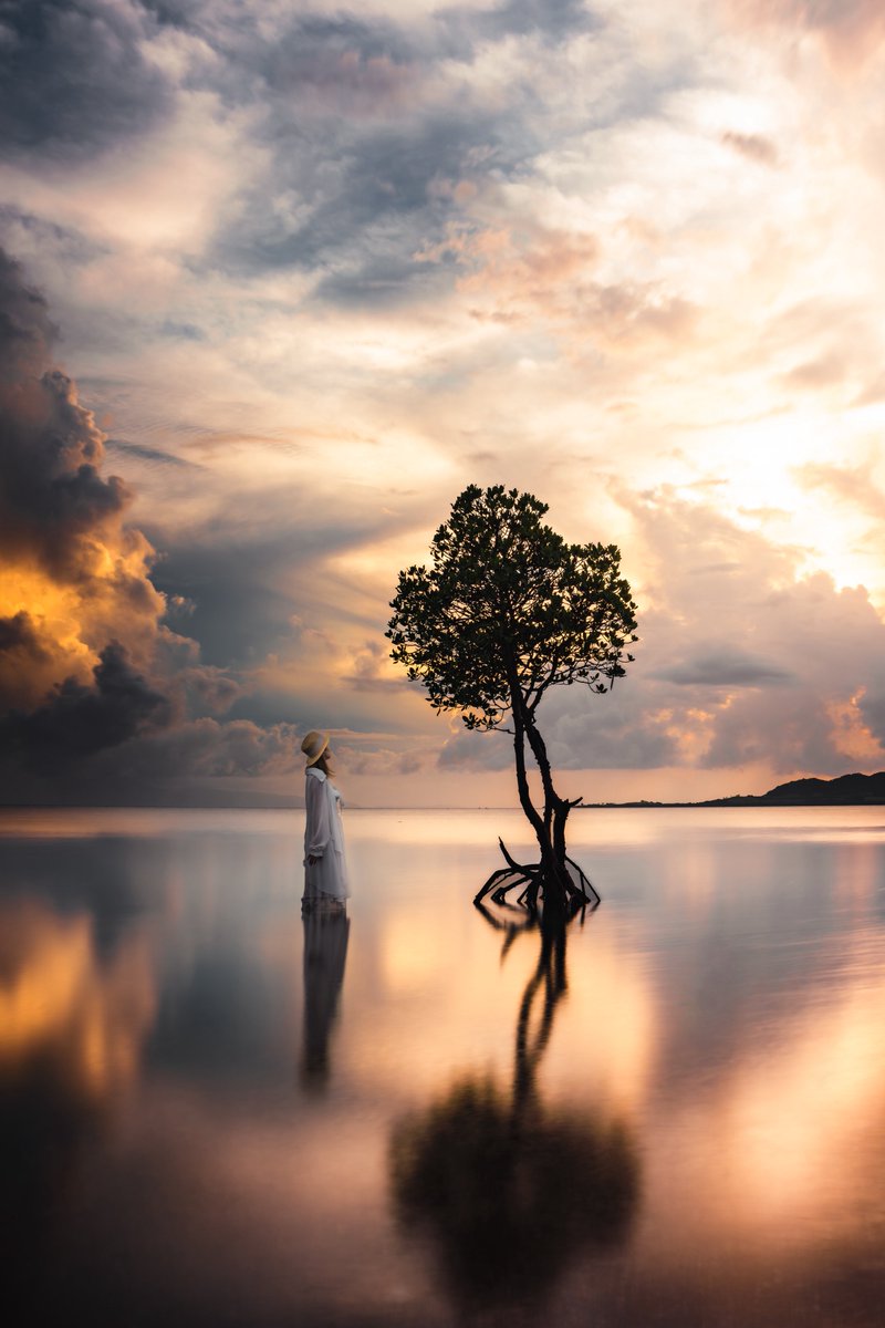 #伸びた伸びないは置いといて2025年自身が思う力作 

これシャッタースピード8秒なですよ。しかも水中の不安定な足場で。
この脅威的な静止力に感謝！