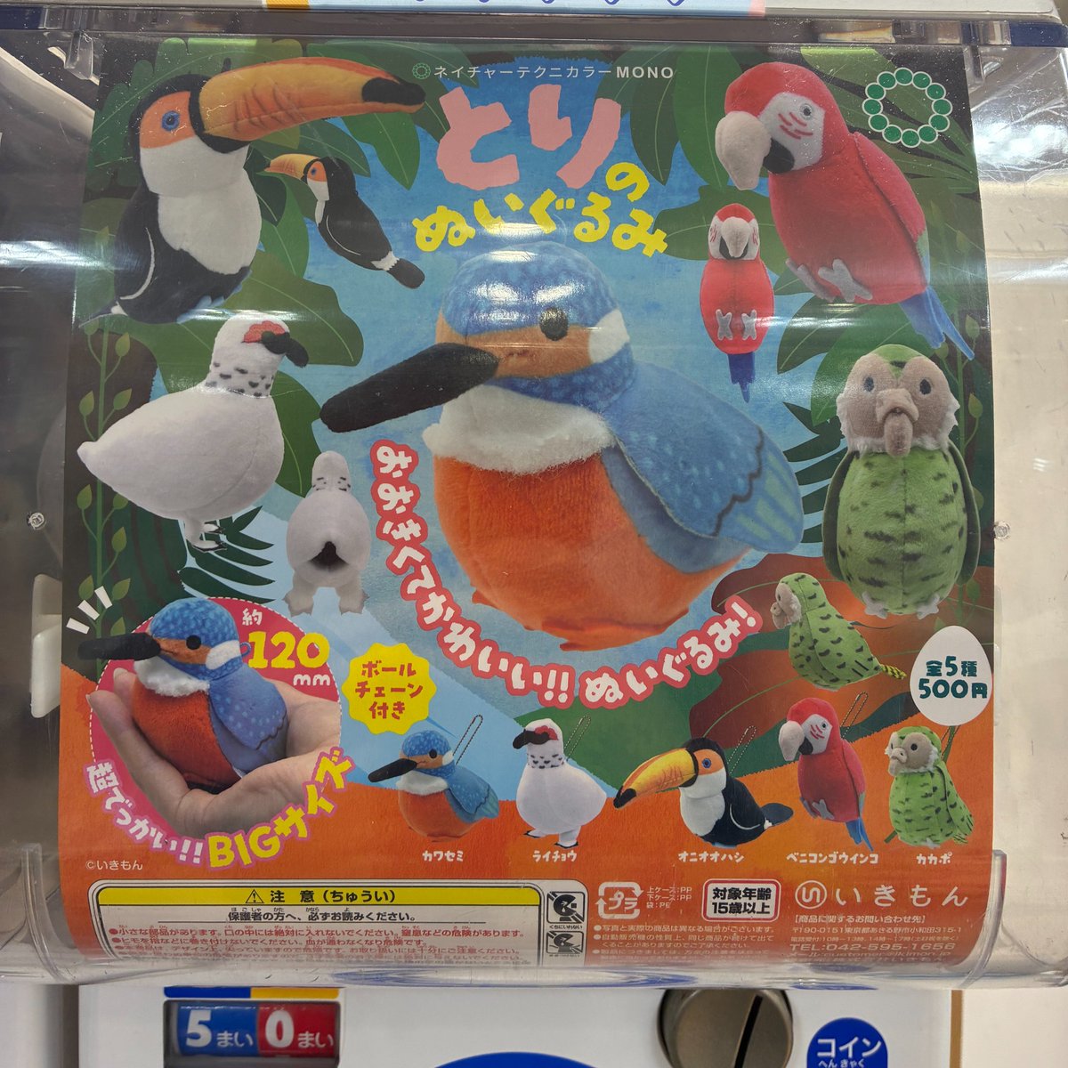 今日訪ねたガチャコーナーで「とりのぬいぐるみ」が発売されていました 