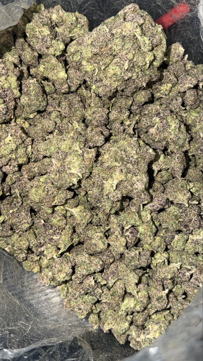 PGH_EXOTIC's tweet image. RESTOCK!
EXOTIC GUMBO POP
$135 a oz
HIT THE DM #pittsburghweed #nocontactdelivery #PGH #Pittsburgh #za #bud