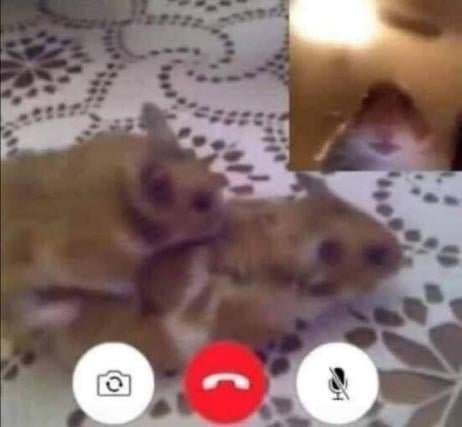 Un wey De minecraftXD tweet media