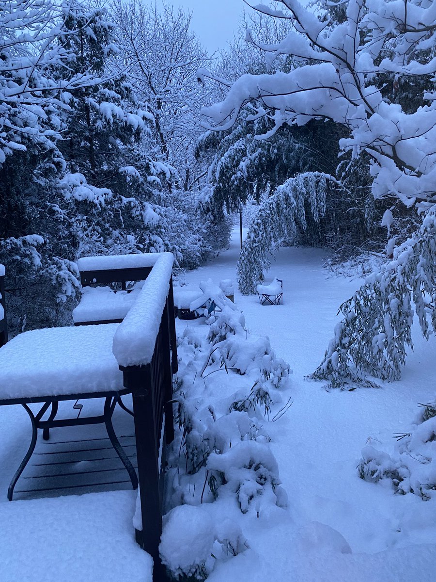 Bart Yasso tweet media