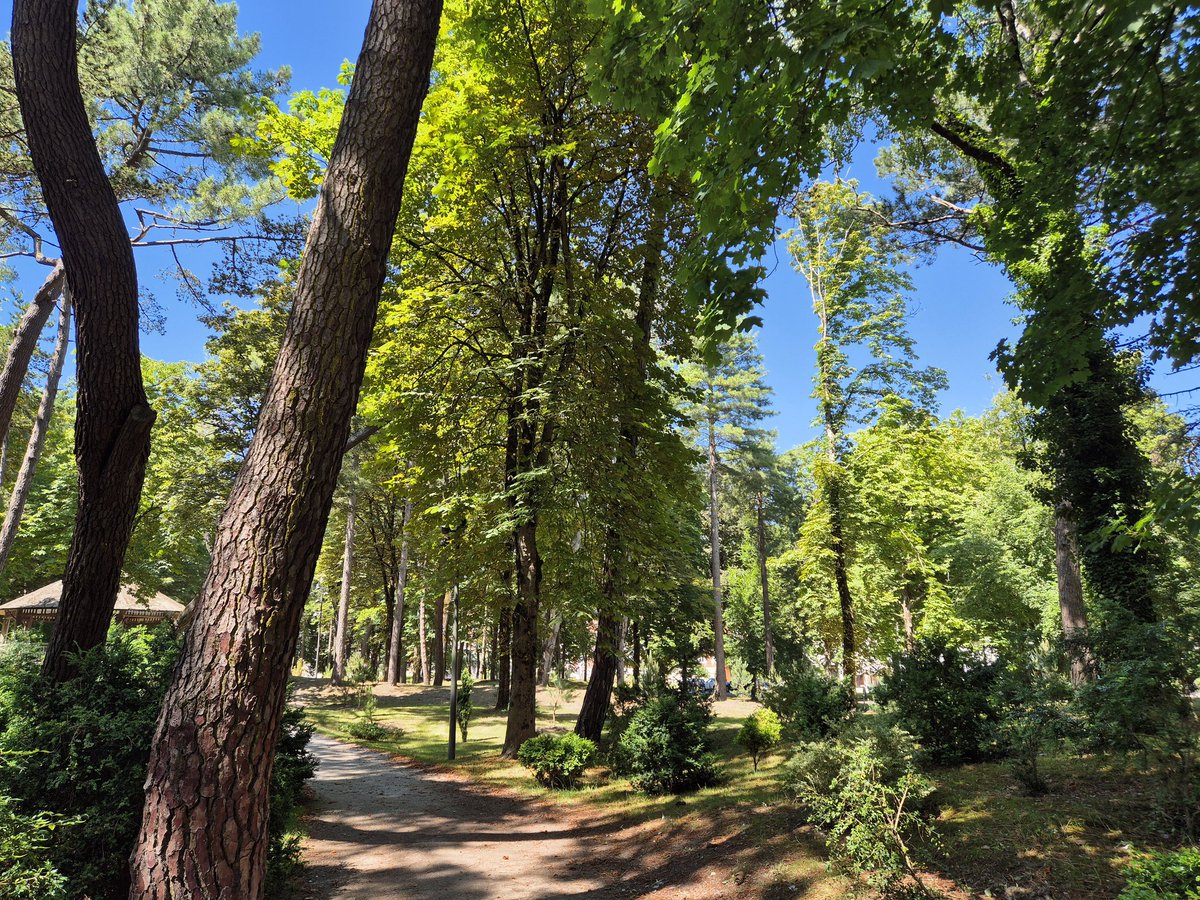 RickyDW88's tweet image. The Beautiful Le Touquet 🇫🇷 ❤️ 🥰
(From July) #France