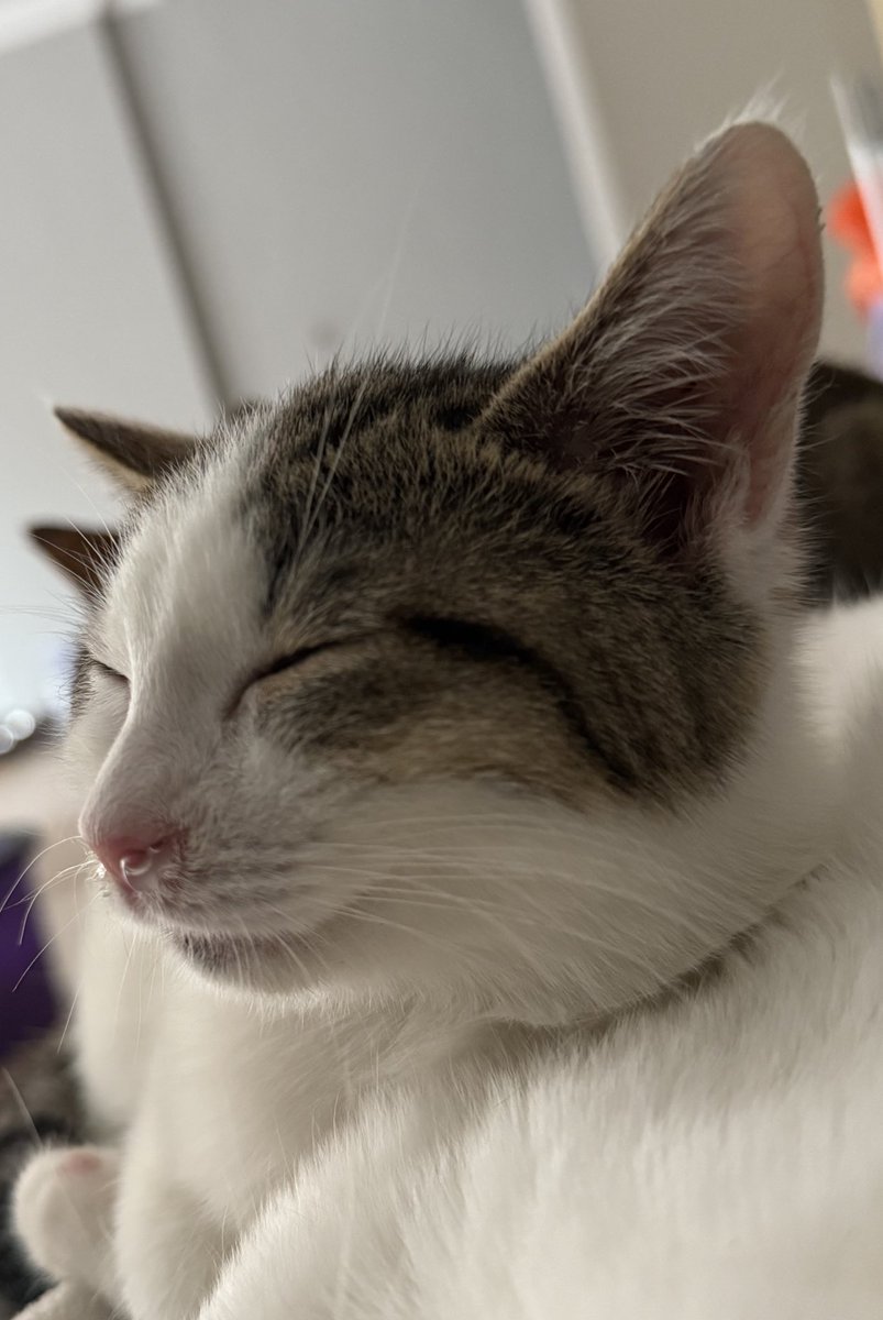 Burnun da ki o baloncuk 🤤