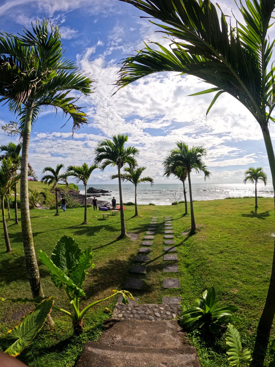 Ahmad Elhaji tweet media