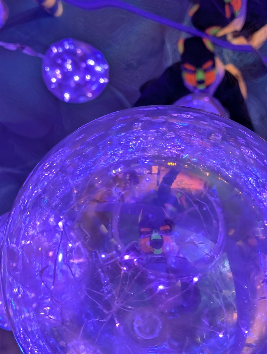 萊姆犬的萊姆 tweet media