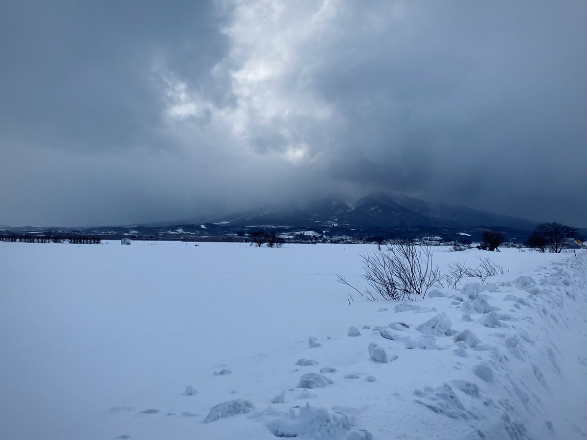 ヤマザキコレ／Koré Yamazaki (@EzoYamazaki00) / Posts / X