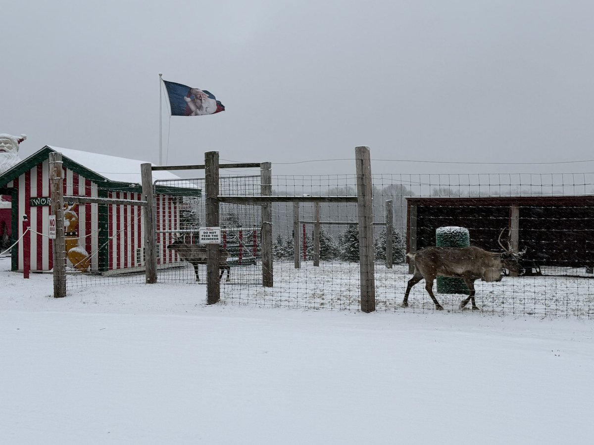 Matthew Reed tweet media