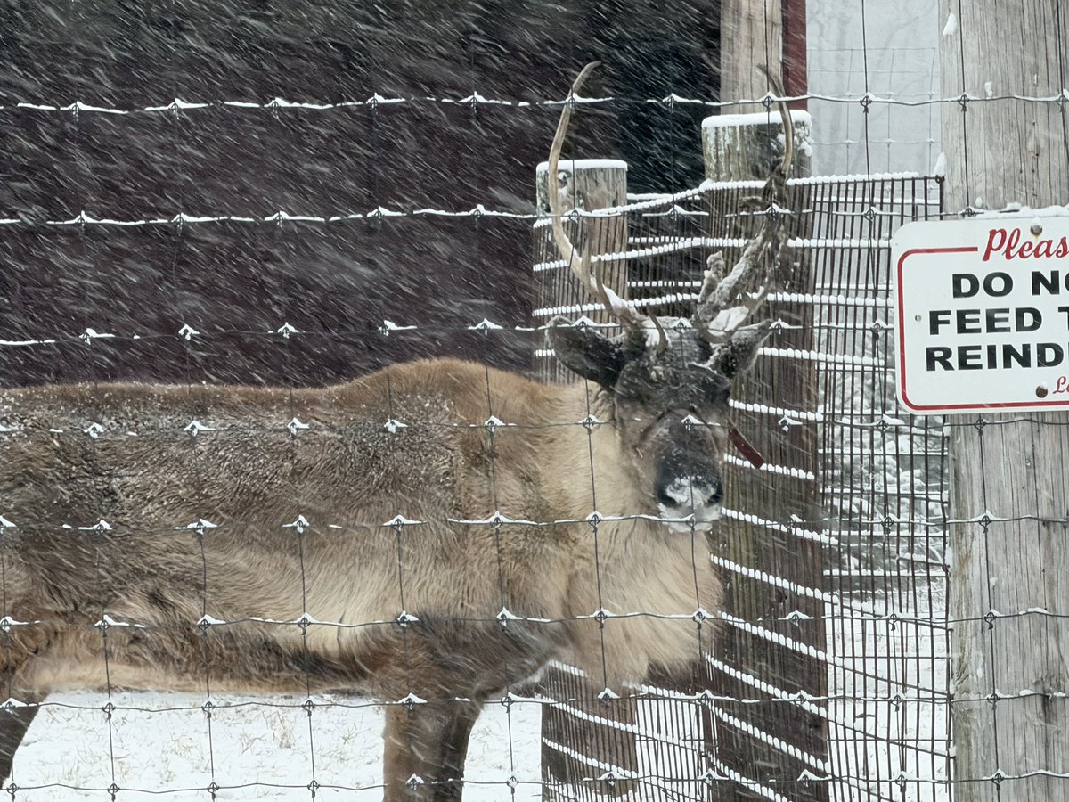 Matthew Reed tweet media