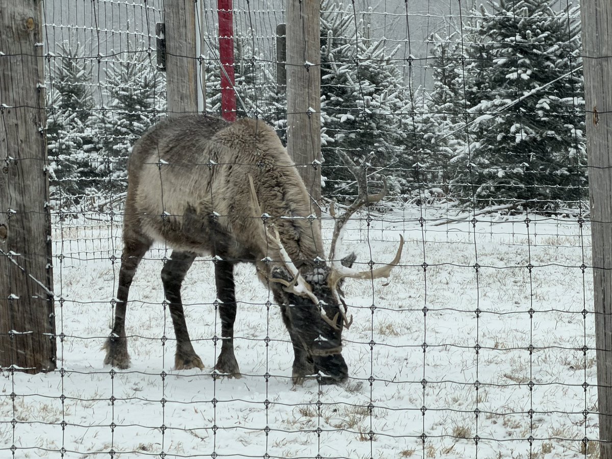 Matthew Reed tweet media