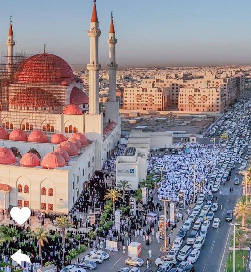 في مذهب الخوه للاجواد قصه
وعنوانها شمر وصبيان قحطان

تكـاتفو  لو كـان  للـحزن  غصه
ورد الوفا من بينهم صار عنوان

قحطان تدعي بالشفاء لابوحصه 
وشمرفابو مرداع يشكون الاحزان

#ابو_حصه 
 #ابومرداع_في_ذمه_الله