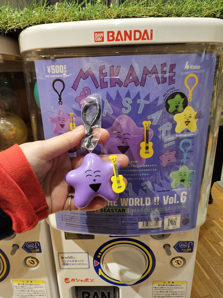 ちゃぴぴ🏠11/25縁会 (@chii10_29chappy) / Posts / X