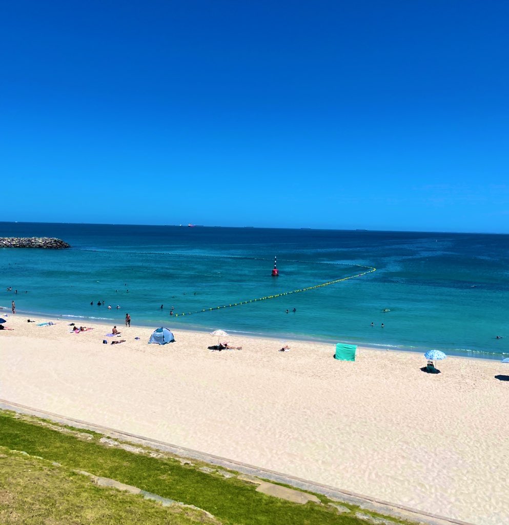 Sam Tayyari tweet media