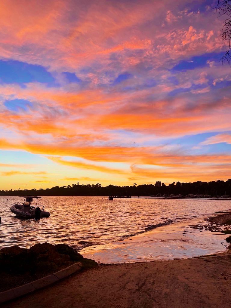 Sam Tayyari tweet media