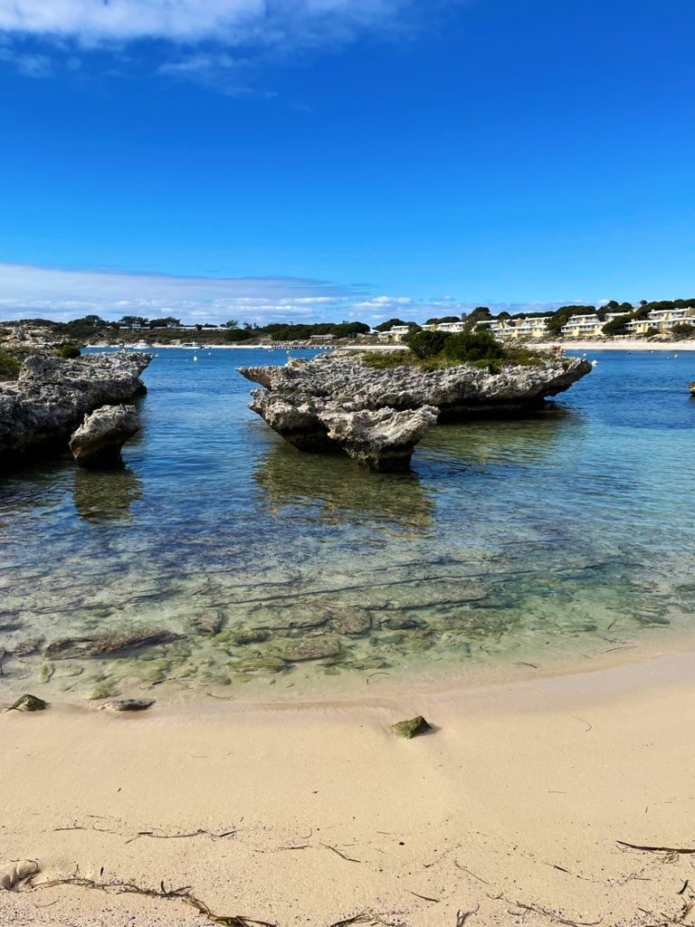 Sam Tayyari tweet media