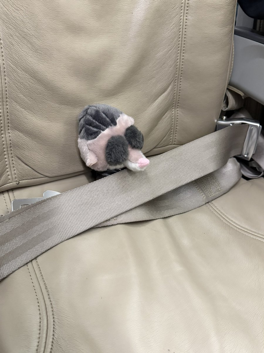 Post by ゆうたろう on X: 無事帰鹿