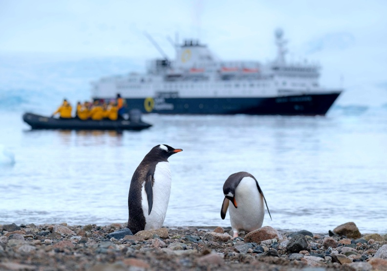 Flandrensis_Gov's tweet photo. Antarctica 🇦🇶 is becoming more accessible for non-scientists. The increasingly frequent waves of tourists ⛴️ are actually putting the fragile ecosystem at risk 🐧🦐🐋. #antarctica #ProtectAntarctica #nohumans #nohumansonlynature #micronation 

(Photo by Derek Oyen via Unsplash) https://t.co/cqCAv0ncFN