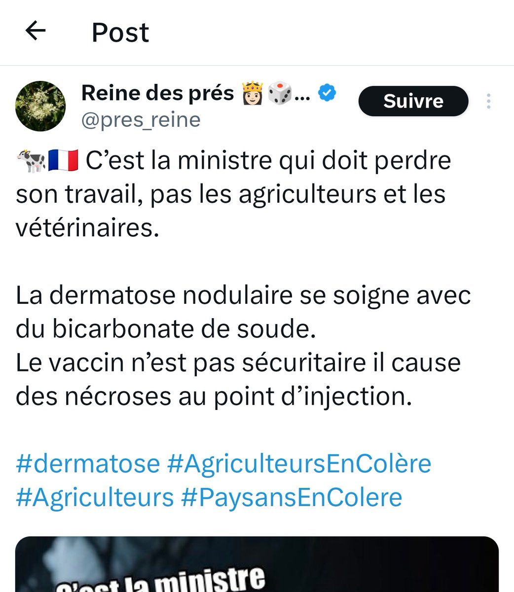 Emmanuelle Ducros tweet media