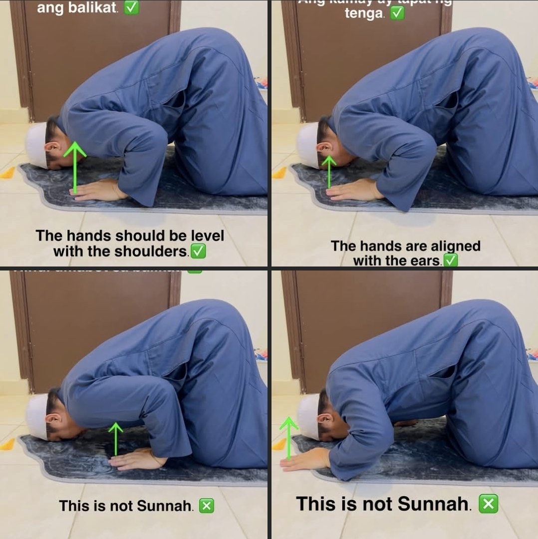 Cool_Ustaz's tweet photo. It is Sunnah to place the hands level with the shoulders or level with the ears during prostration (sujūd). https://t.co/kXL7Nz7Kt2