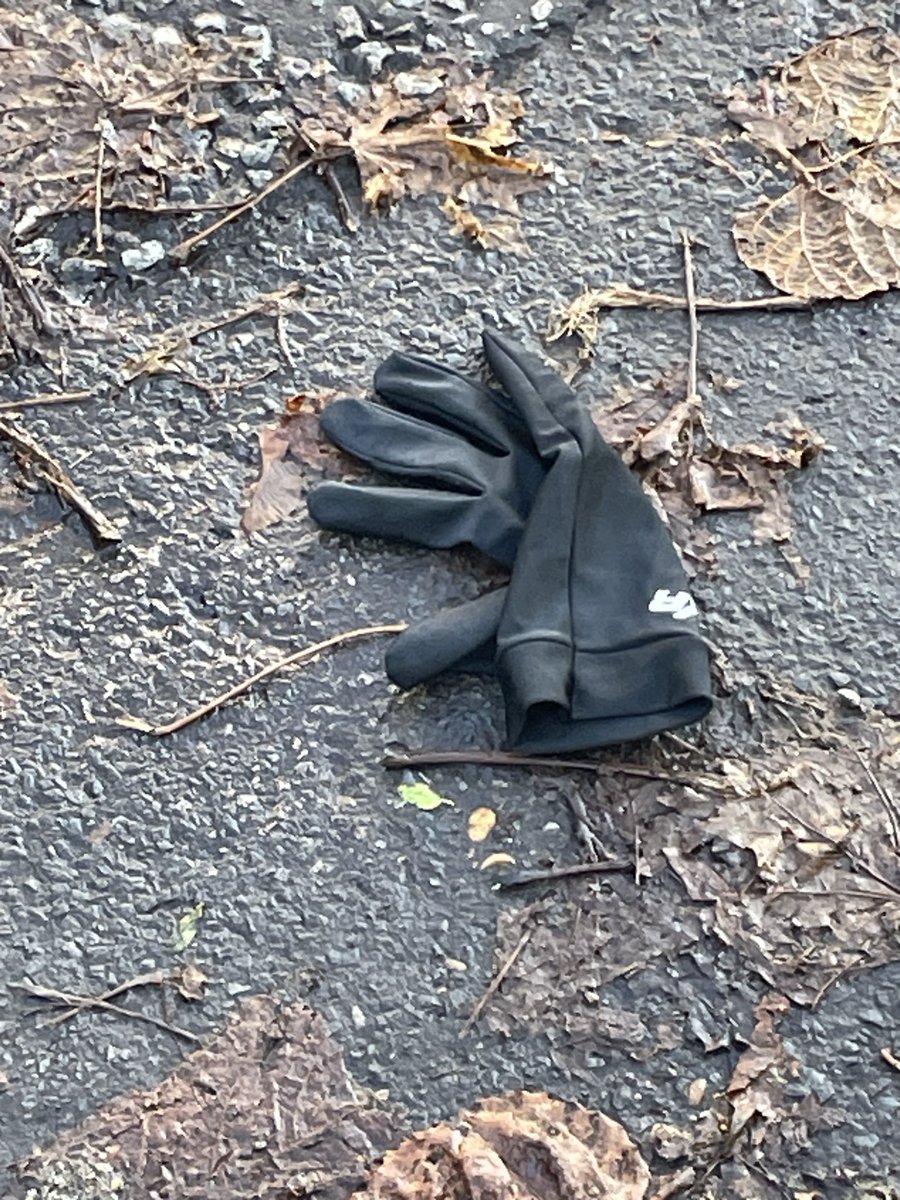 johntdavey's tweet photo. #glovewatch https://t.co/MyMKbyq83a