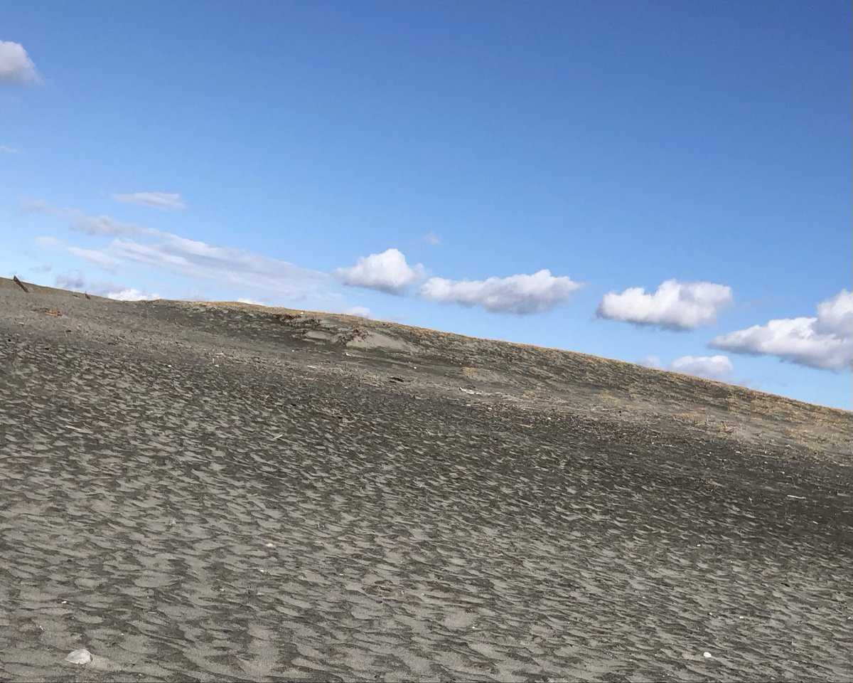 2jyo_33's tweet photo. #仮面ライダーオーズ OOO
#聖地巡礼 🩵😋
オープニングの砂丘🏜️
風超強くて、砂が当たって痛かった🤧

#中田島砂丘  #仮面ライダー #仮面にゃいだー https://t.co/GnUd5re3LG