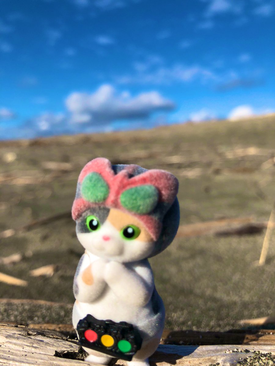 #仮面ライダーオーズ OOO
#聖地巡礼 🩵😋
オープニングの砂丘🏜️
風超強くて、砂が当たって痛かった🤧

#中田島砂丘  #仮面ライダー #仮面にゃいだー