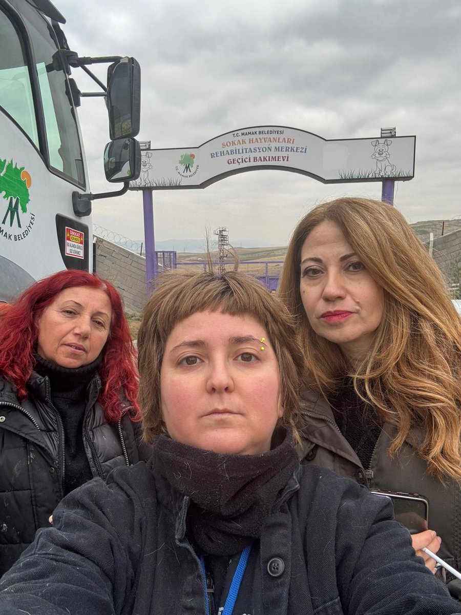 muzirorg's tweet photo. Ankara’daki hayvan hakları aktivistleri Mamak Belediyesi Barınağına giderek besleme yapmak istediler. Genel Yayın Yönetmenimiz Aslı Alpar hayvanların yaşam koşullarını gözlemlemek ve haber yapmak için alandaydı. 
Barınak görevlileri, hürriyeti tahdid suçu işleyerek Aslı Alpar, Burcu Yağcı ve Necla Vuranok’u zorla alıkoyarak barınağa kilitledi. Arkadaşlarımız şuan barınakta zorla tutuluyor.
