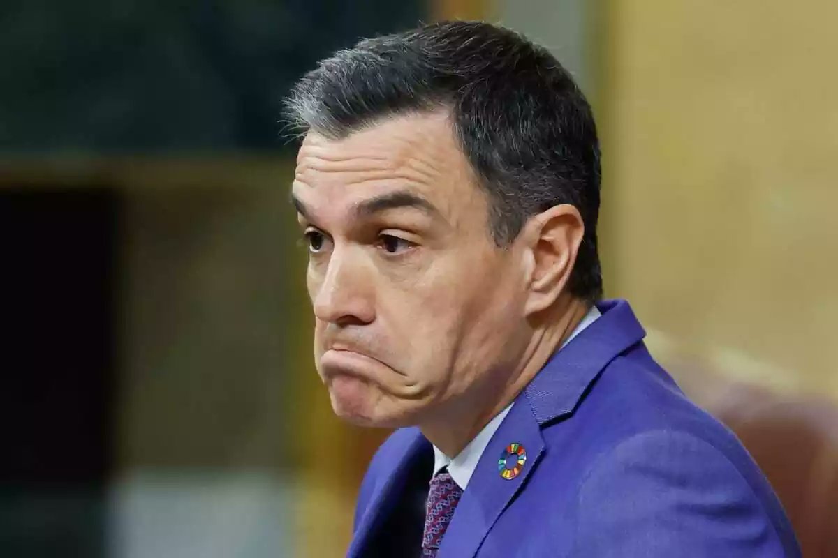Joanbondia1's tweet photo. PSOE? No sé quién es PSOE https://t.co/c5chG6ka9M