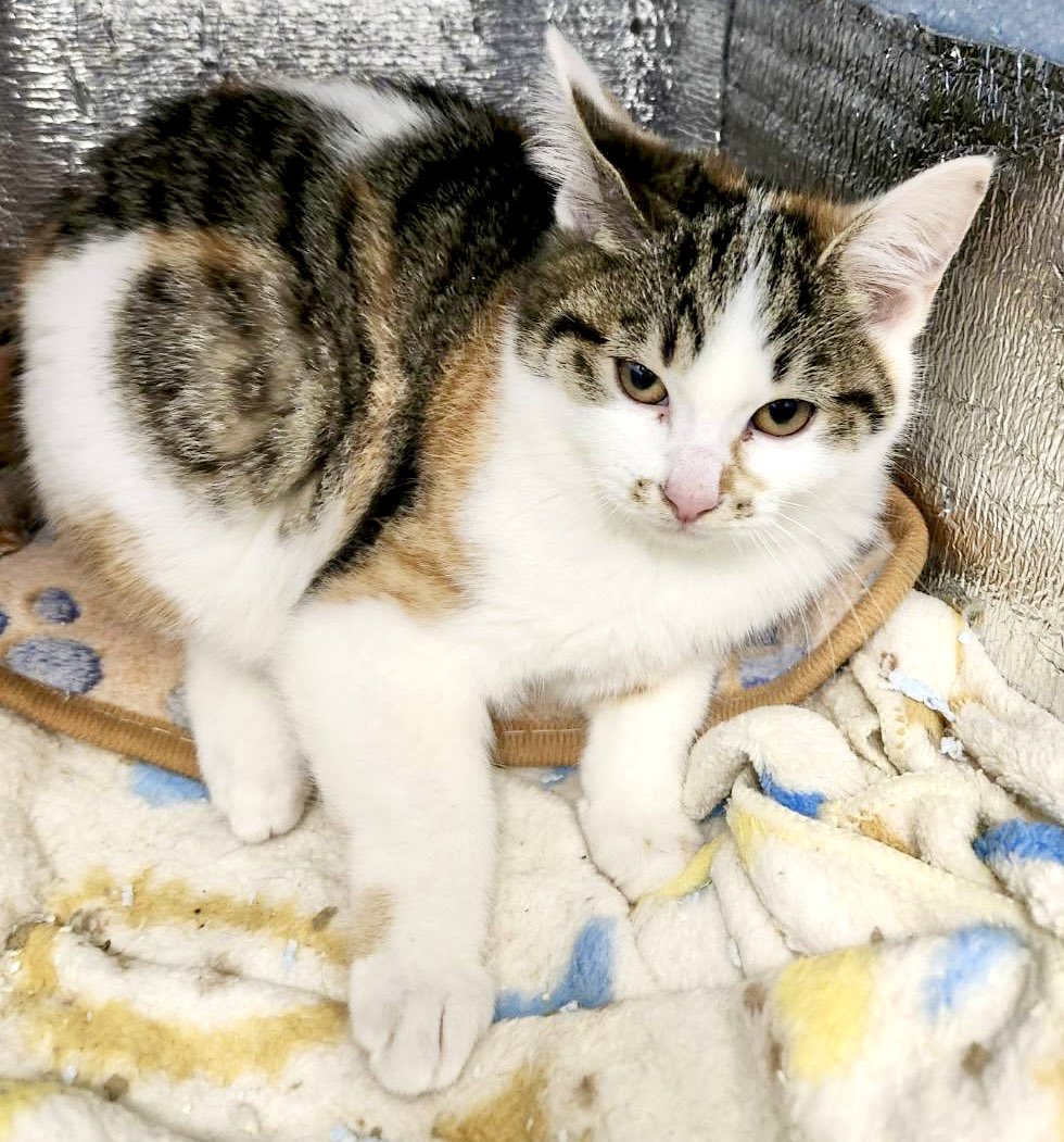 Mine🐢 (@miyuki19710523) / Posts and Replies / X