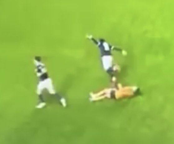 Tigers Newsroom tweet media