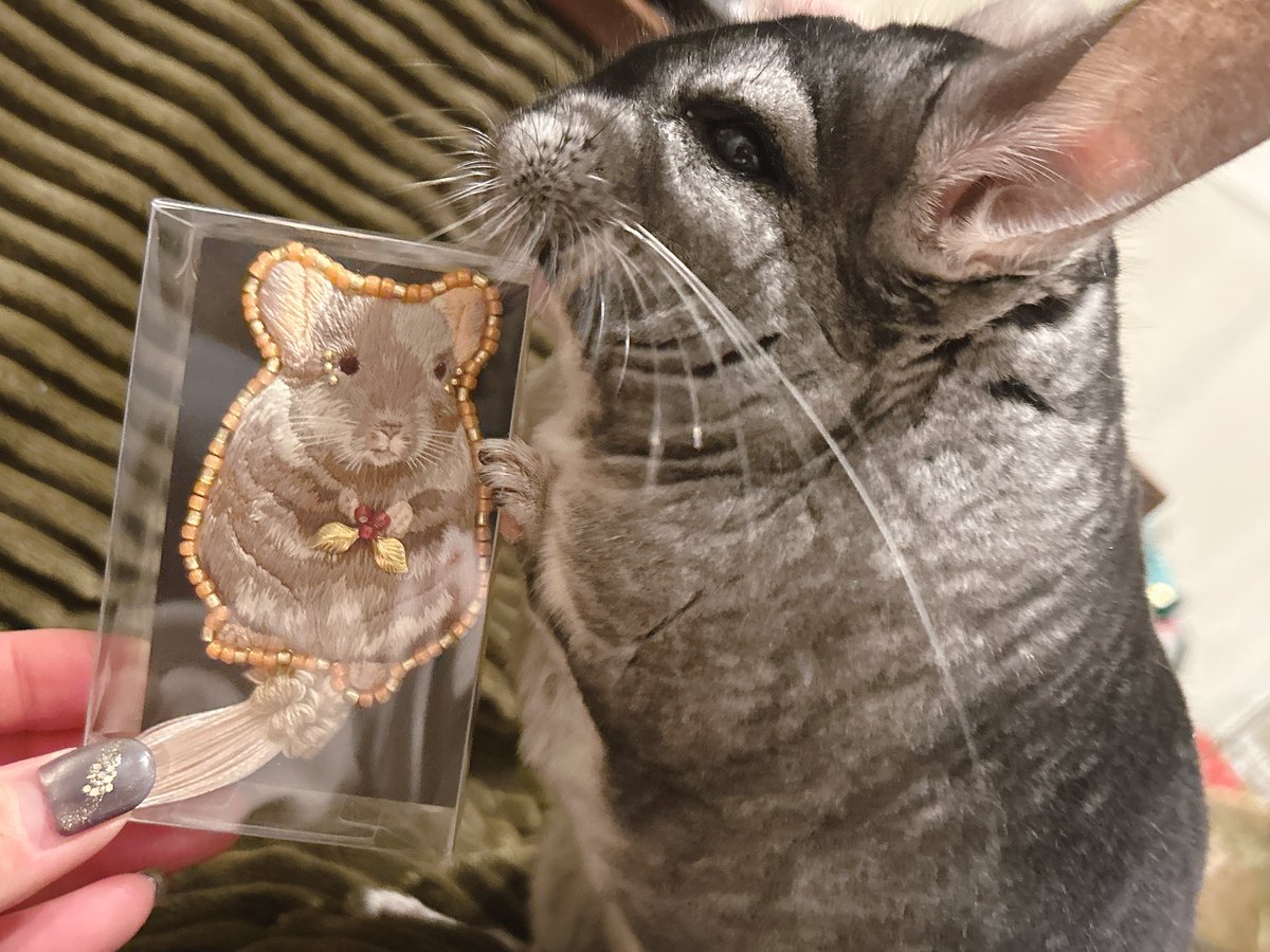 きなこもこ tweet media