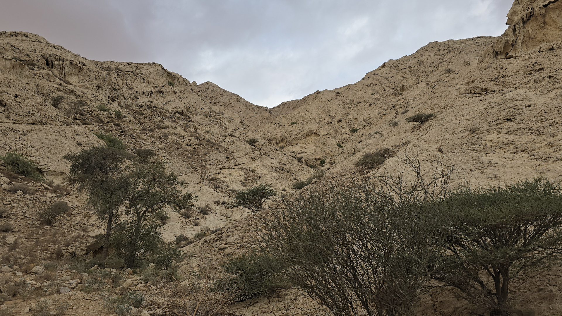 عيسى يوسف: إدراج الفاية ضمن قائمة التراث العالمي إنجاز لـ #الشارقة 