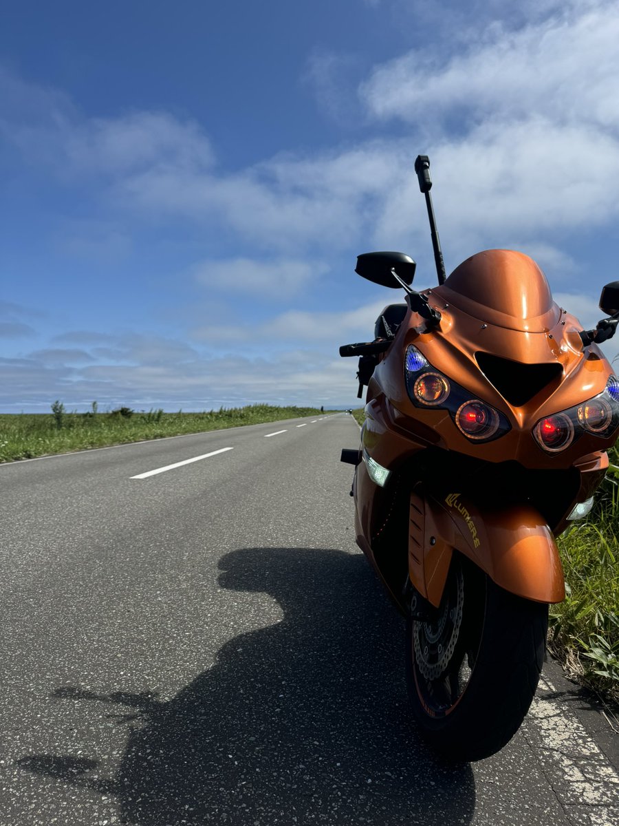 シノさん (@Shino14Orange) / Posts / X