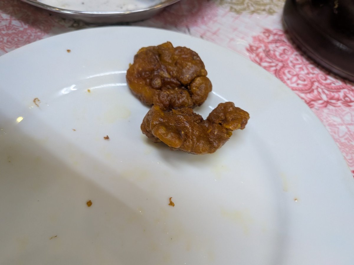 野田市 メヘマーンサラエ。ようやくこれたグランドブッフェ。これねヤバい。全部おいしい。ピザとか食べるとすぐに満腹になってしまうのが悩ましい。ナシームさんが梨や柿のお礼にと持ってきてくれたフィッシュパコラも美味しかった。写真はほぼ食べ尽くされたフィッシュパコラ。