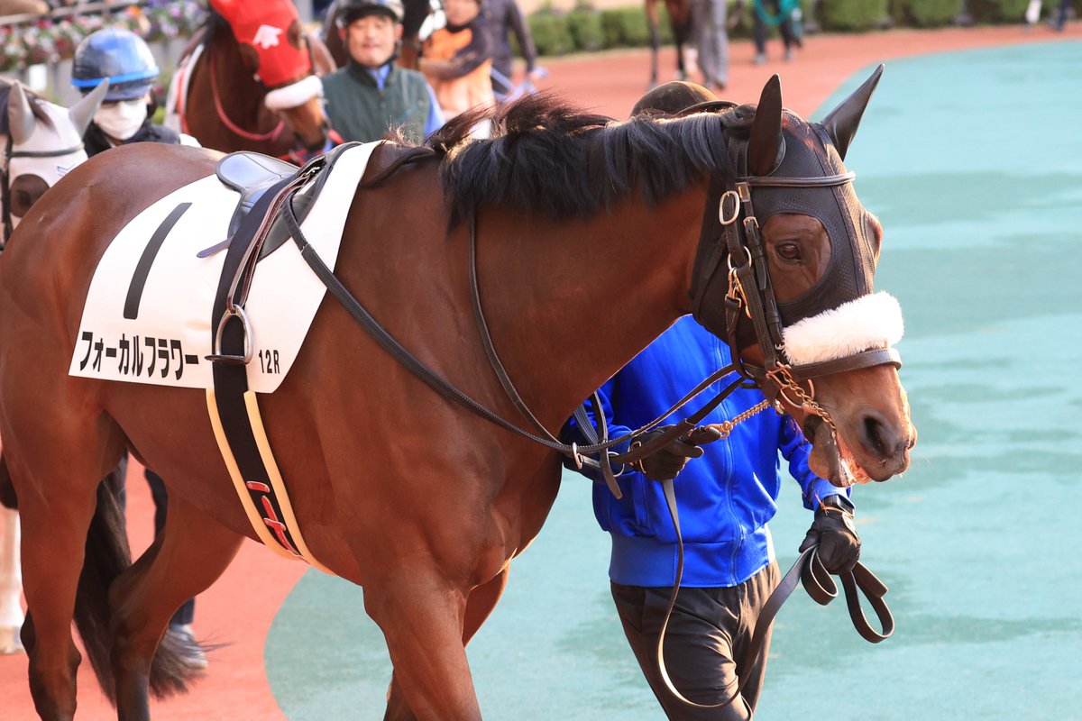 ぶう (@mirotic_bouquet) / Posts / X