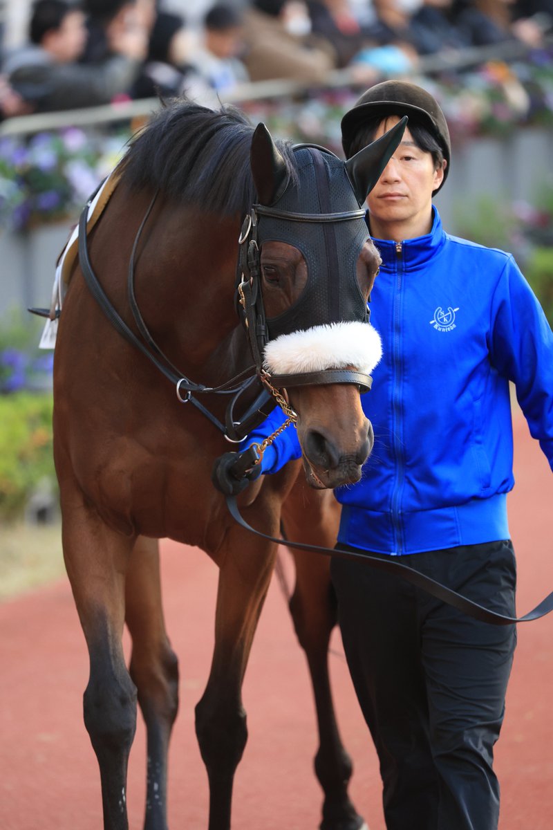 ぶう (@mirotic_bouquet) / Posts / X