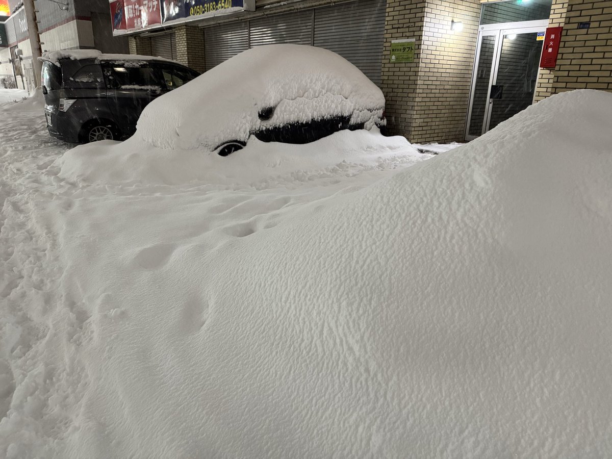 深々と降り続いてます❄️ 明日の朝、 マジで悲惨かも😵 微妙に暖かい