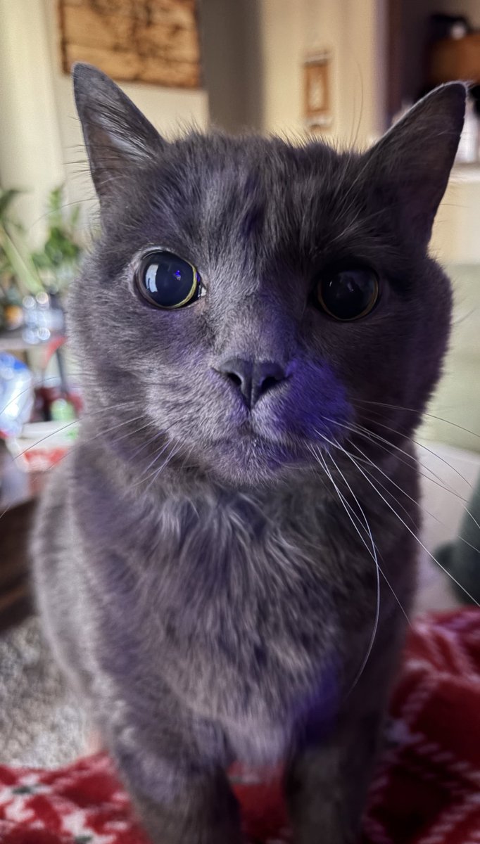 aqua🌙☕️ tweet media