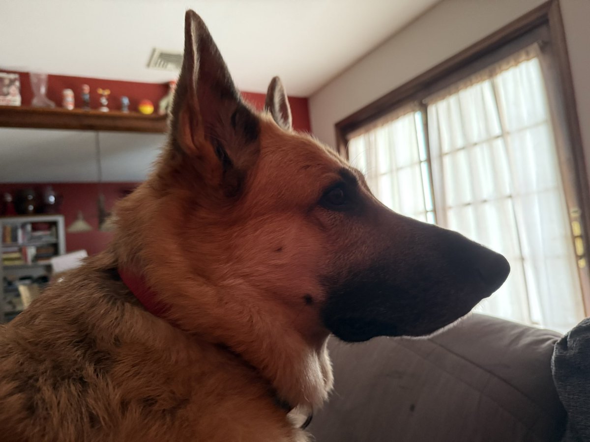 Highlander.34 tweet media