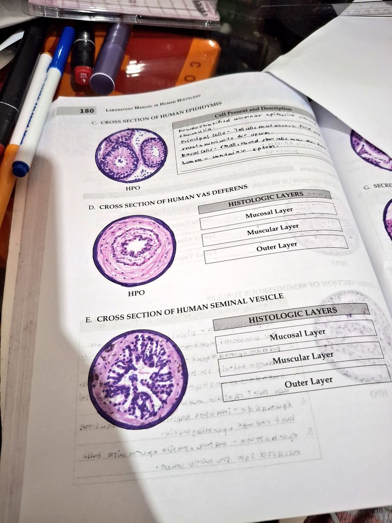 ruiifei's tweet photo. finally done idraw ang buong laman ng lab manual na 'to 😓 https://t.co/dNI8uRbz7D