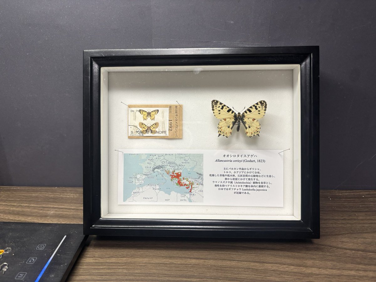 飲み箱を作ったので