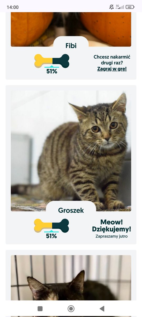 nakarmcie groszka, trzeba wejść w najmniej nakarmione i zescrollować kawałek