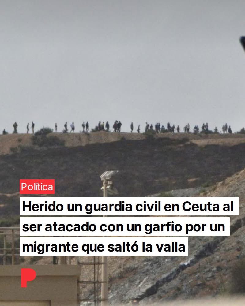 María Ponce 🇪🇸💚 tweet media